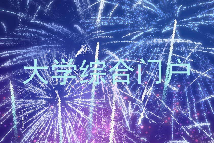 大学综合门户