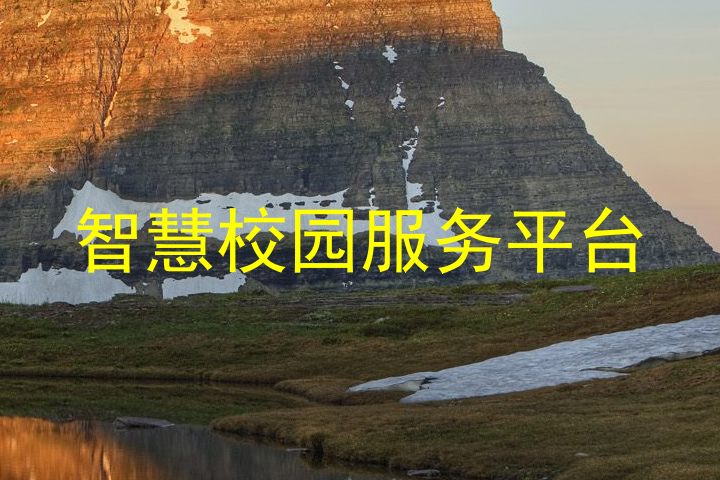 智慧校园服务平台