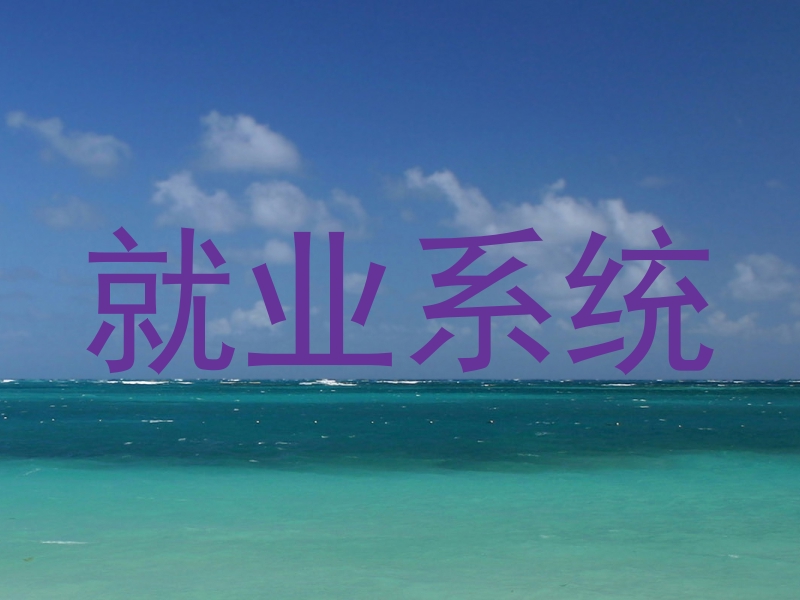就业系统
