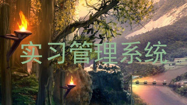实习管理系统