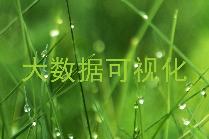 大数据可视化