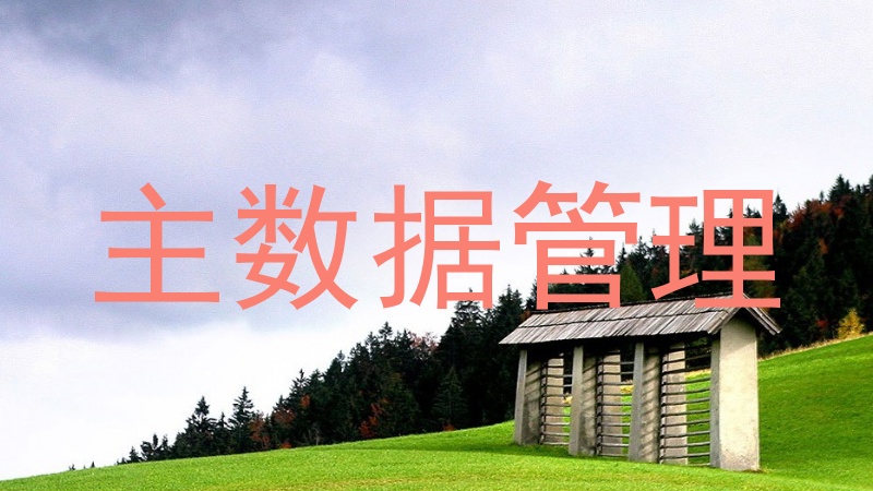 主数据管理