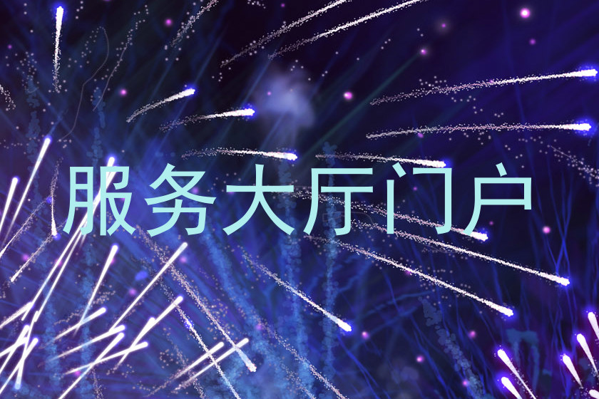 服务大厅门户