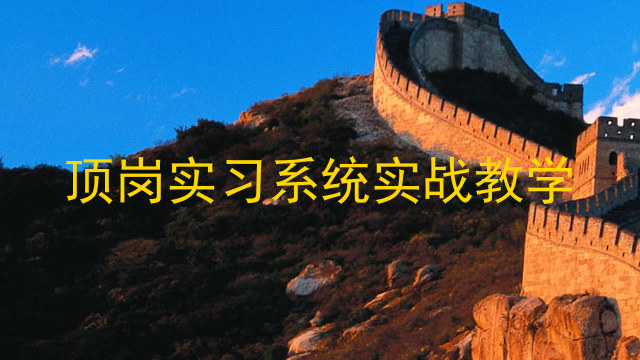 顶岗实习系统实战教学