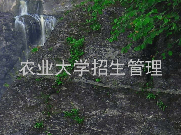 农业大学招生管理