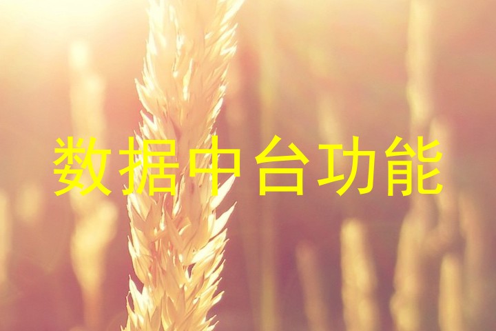 数据中台功能