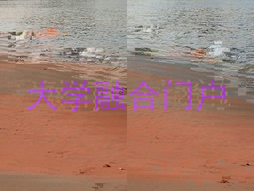 大学融合门户