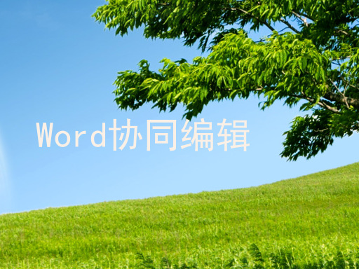 Word协同编辑