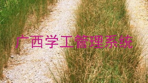 广西学工管理系统