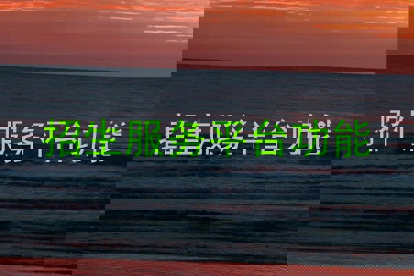 招生服务平台功能