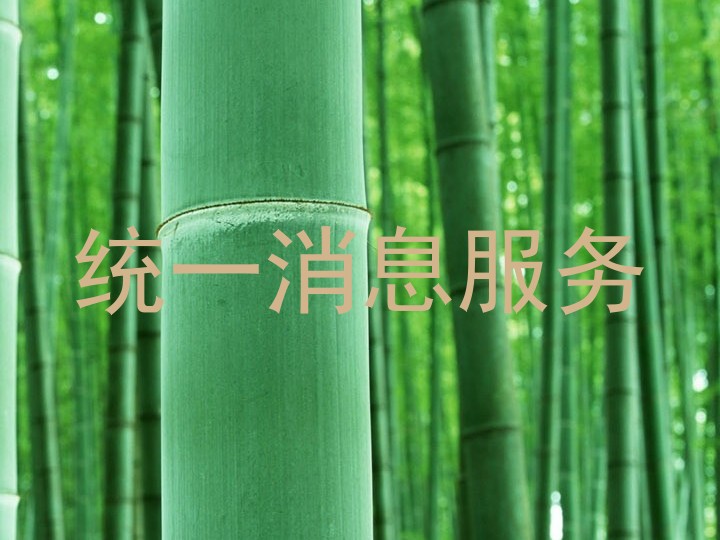 统一消息服务