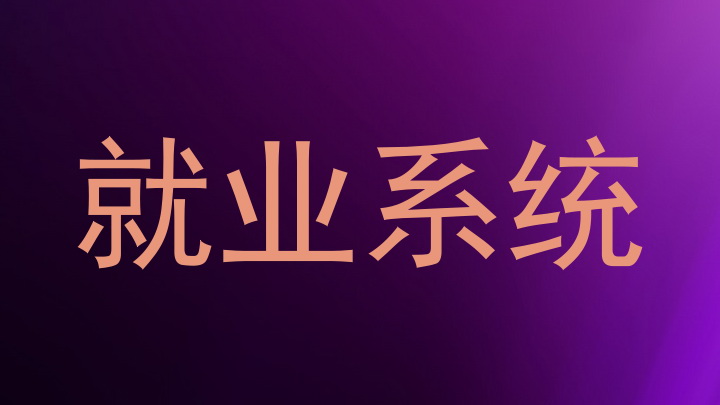 就业系统