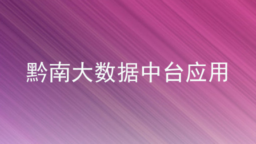 黔南大数据中台应用