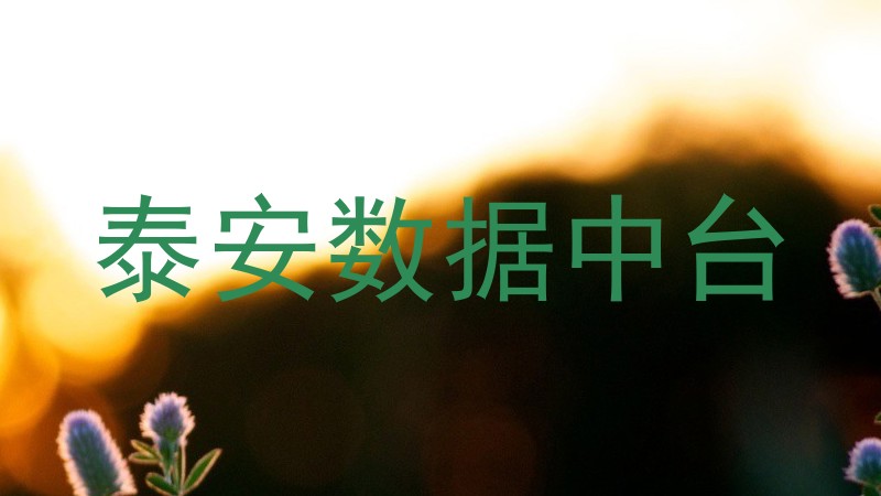 泰安数据中台