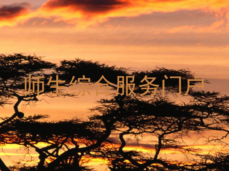 师生综合服务门户