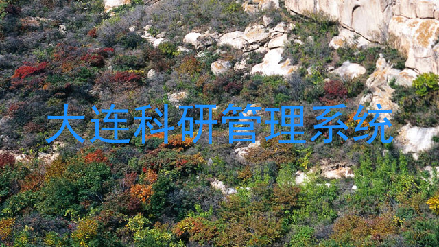 大连科研管理系统