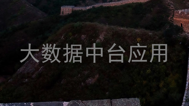 大数据中台应用