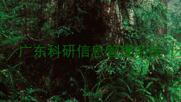 广东科研信息管理系统