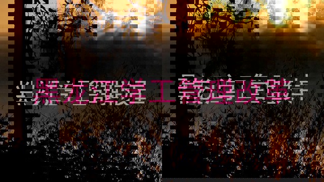 黑龙江学工管理改革