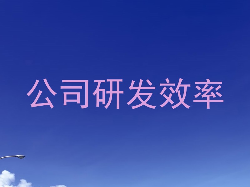 公司研发效率