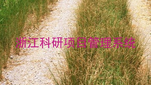 浙江科研项目管理系统