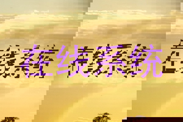 在线系统