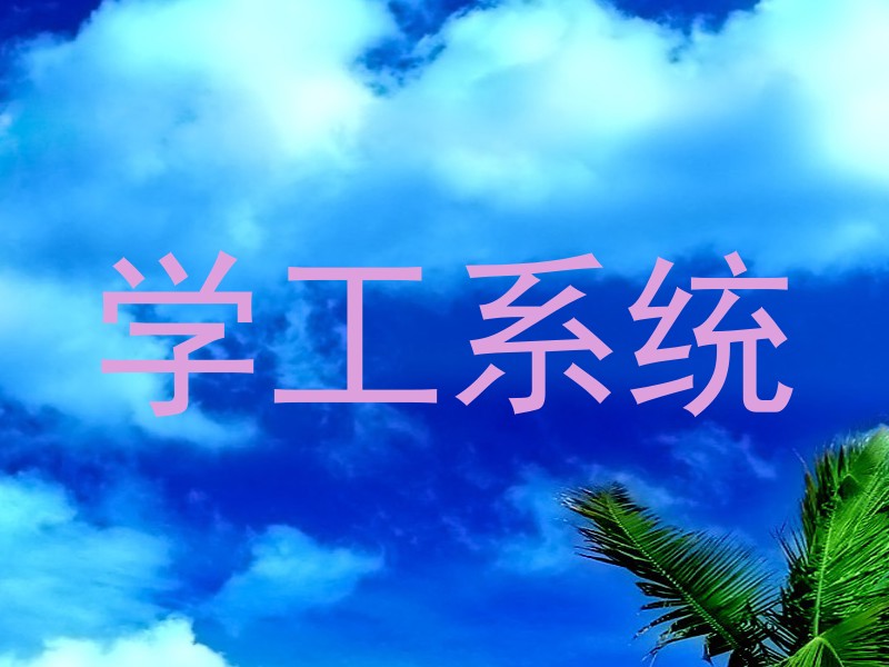 学工系统