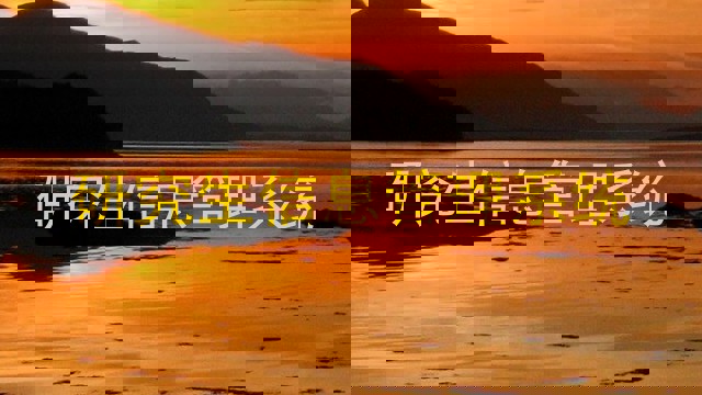 研究生信息管理系统