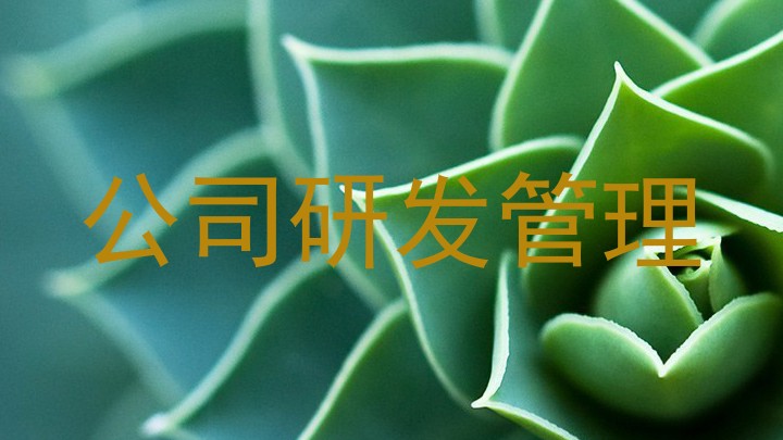 公司研发管理