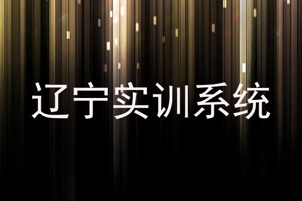 辽宁实训系统