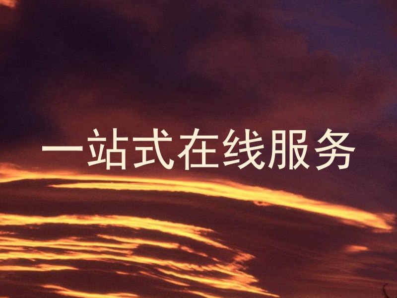 一站式在线服务