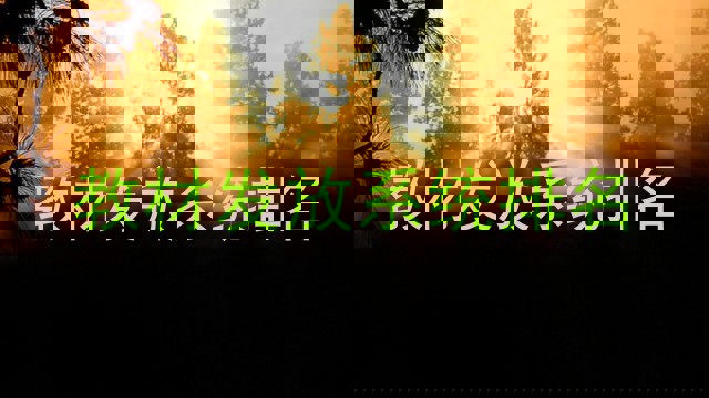 教材发放系统排名