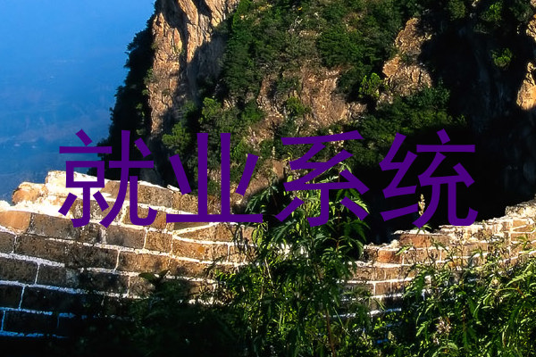 就业系统