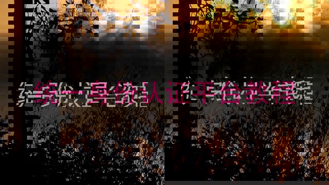 统一身份认证平台教程