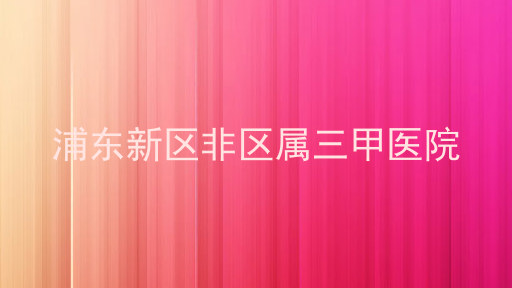 浦东新区非区属三甲医院