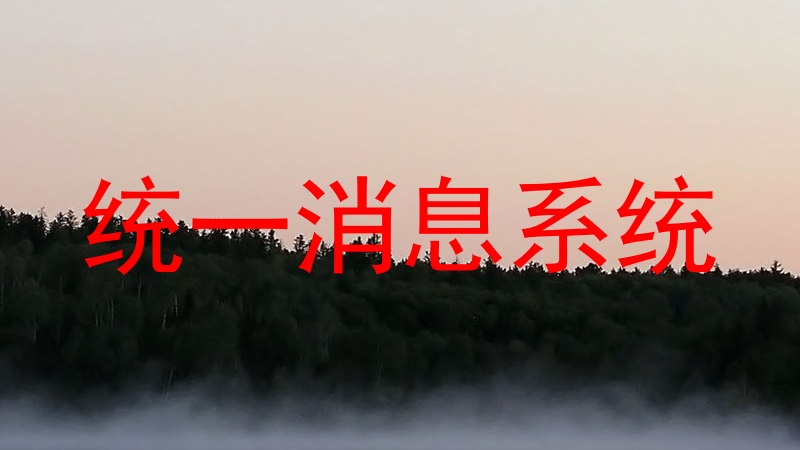 统一消息系统