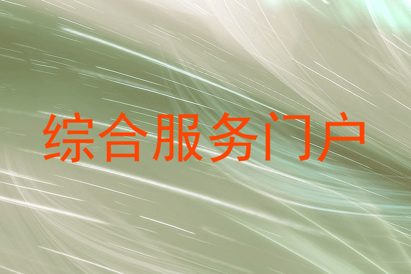 综合服务门户