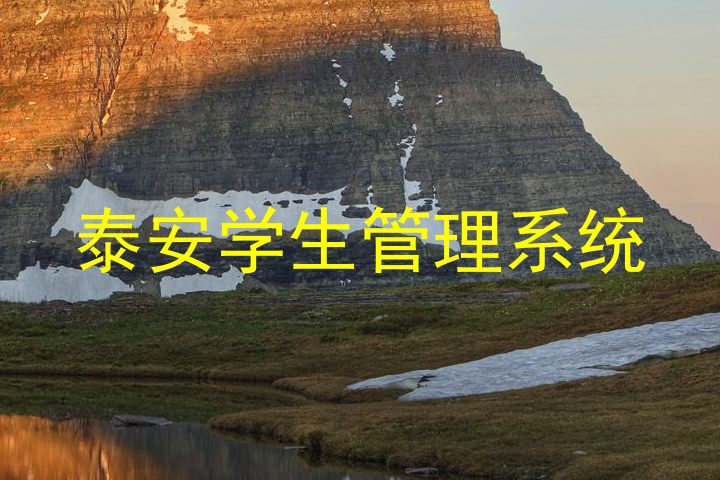 泰安学生管理系统