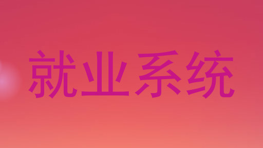 就业系统