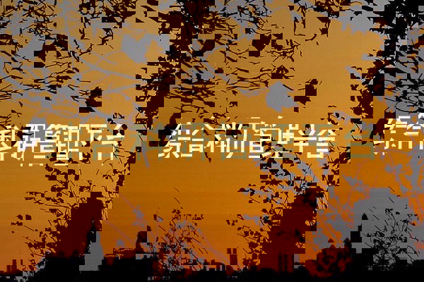 综合科研管理平台
