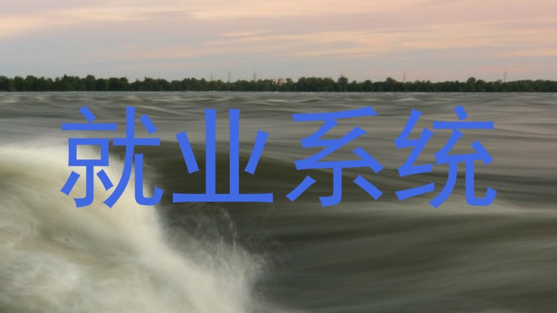 就业系统