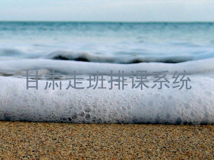 甘肃走班排课系统