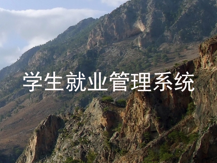 学生就业管理系统