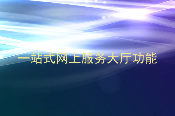 一站式网上服务大厅功能