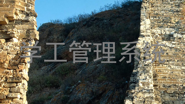 学工管理系统