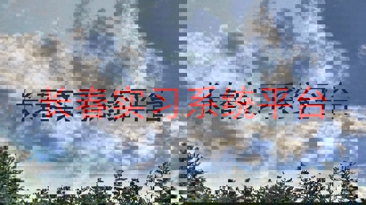 长春实习系统平台