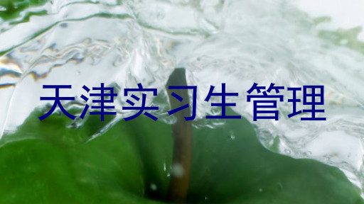天津实习生管理