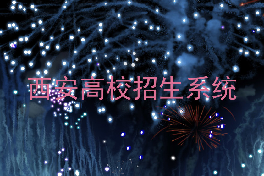 西安高校招生系统
