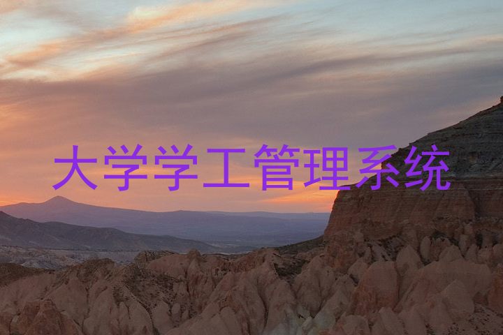 大学学工管理系统