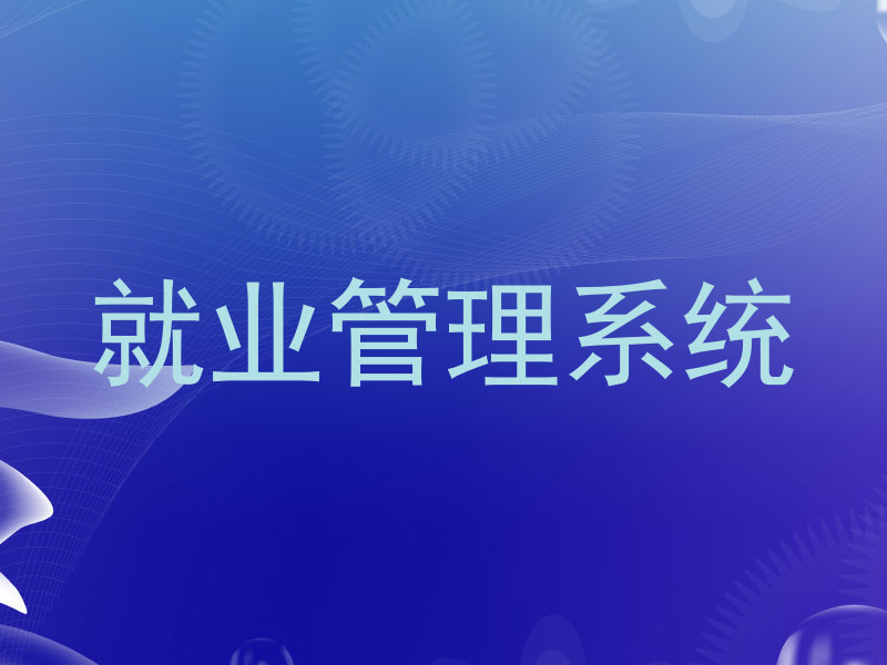 就业管理系统